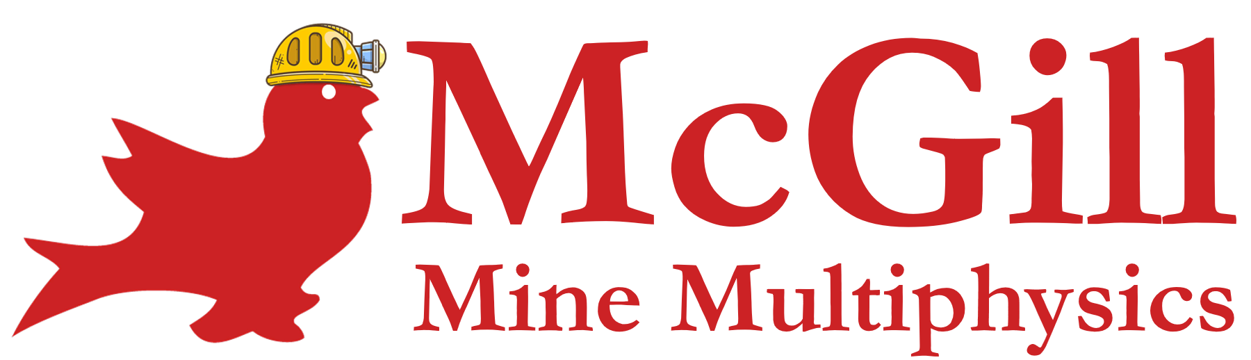McGill Mine Multiphysics